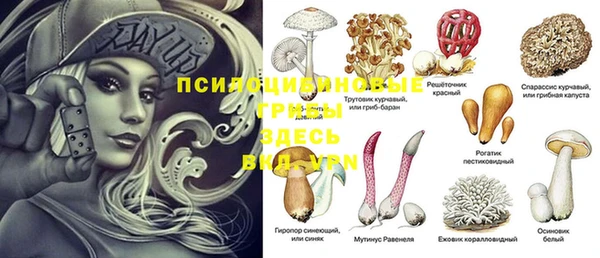 мескалин Алексин
