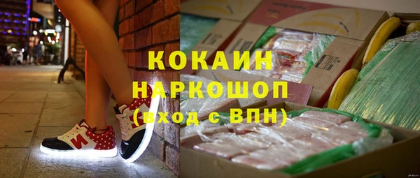 a pvp Алзамай